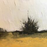 Mosshouse Woods, Gnoll Estate, Neath, 2020