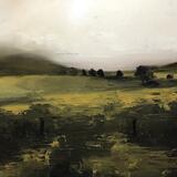 Pentrecwlydau Fields, Vale of Neath