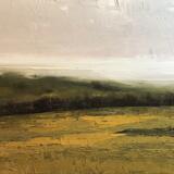 3rd Field Pentwyn Farm, Resolven, Vale of Neath