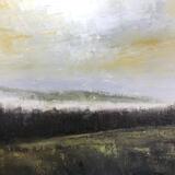 Morning Mist, Nant y Glesiad Woods, Resolven, Vale of Neath