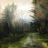 Road to Pentwyn, Nant y Glesiad Woods, Resolven, Vale of Neath