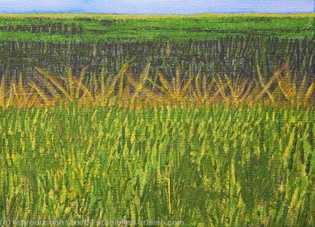 Summer Fields, Chedworth