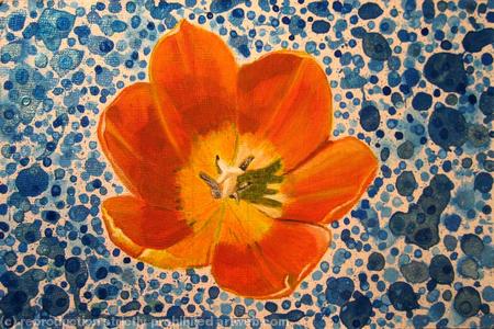 Tulip Head on Blue