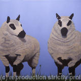 Ewe Too At Baswick Landing