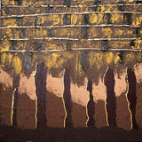 Elements in Brown, Too