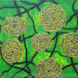 Abstracted Lata Balls