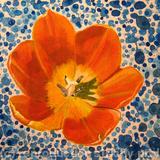 Tulip Head on Blue