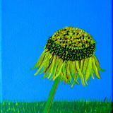 Burton Agnes Sunflower