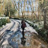 Mounted Print | Winter Sun