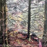 Whispers of the Woods 