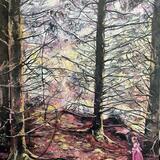 Whispers to f the Woods 