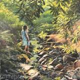 Barefoot in the Rocks 