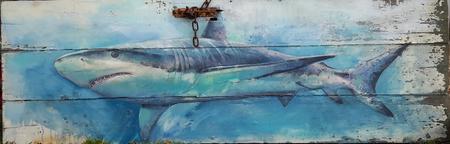 shark on rusty door