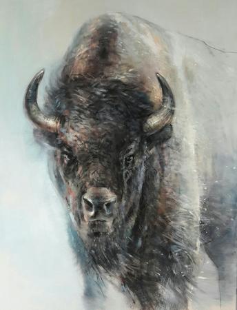 Bison