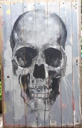 Skull  on wooden panel
