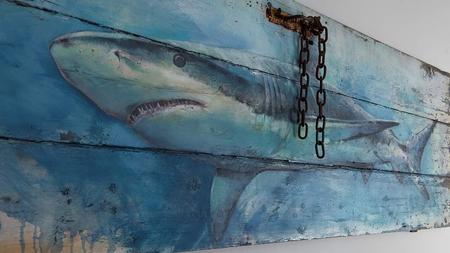 Shark on door