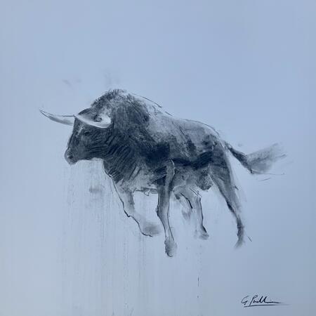 Charging bull  ... see framed photo 