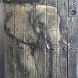 elephant on pub cellar door