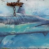 shark on rusty door