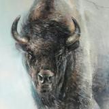 Bison