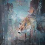 Urban fox