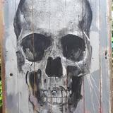 Skull  on wooden panel