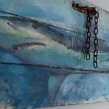 Shark on door