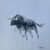 Charging bull  ... see framed photo 