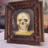 Small framed skull  the curio , oil painting on panel in antique carved frame 