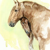 Suffolk Punch Mare and Foal