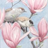 Blackcaps & Magnolia