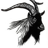 'Robert' a Billy goat