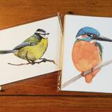 British Bird Postcards