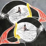 Puffins