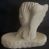 I said smile!  (Rear view)