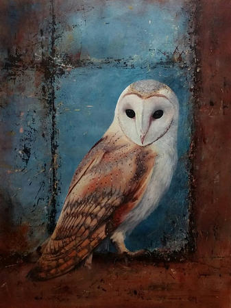 Barn Owl