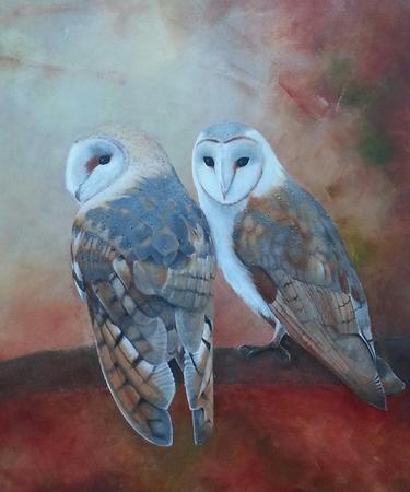 Autumn Barn Owls