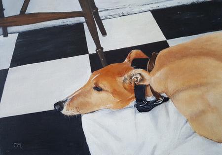 The Therapy Dog, Crumpetty Tree Cafe Hove