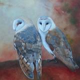 Autumn Barn Owls