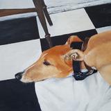 The Therapy Dog, Crumpetty Tree Cafe Hove