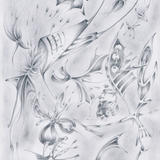 Catching the Butterflies