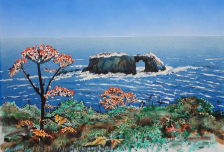 Escape Goat Rock   -Northern Califoria