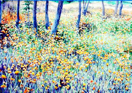 Upper-Ontario-Canada