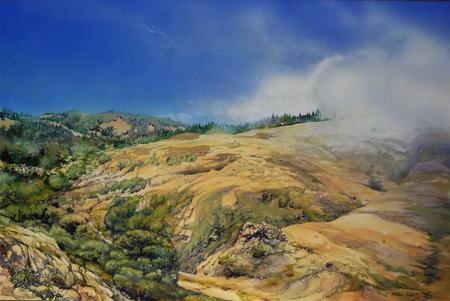 Redwoods in the Fog -Russian Gulch Califonia