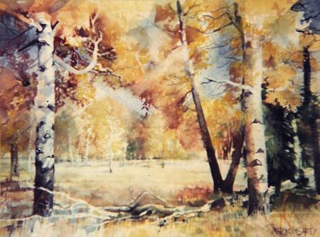 Miles to Go- Arizona 1967/68