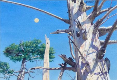 Old Home for the Birds