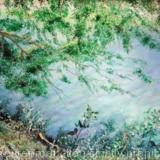 On the Russian River - California