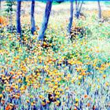 Upper-Ontario-Canada