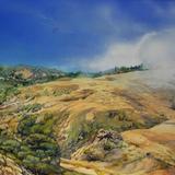 Redwoods in the Fog -Russian Gulch Califonia