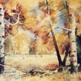 Miles to Go- Arizona 1967/68